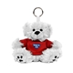 Paws 5 Teddy Bear with Keyring