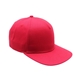 The 67 Snapback, Patch - Full Color Digital