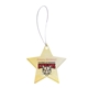 Star Acrylic Ornament