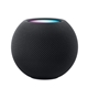 Custom Apple HomePod Mini