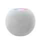 Custom Apple HomePod Mini