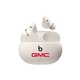 Custom Beats - Studio Buds + True Wireless Noise Cancelling Earbuds