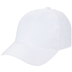Recycled 6 Panel Perforated Back Ballcap