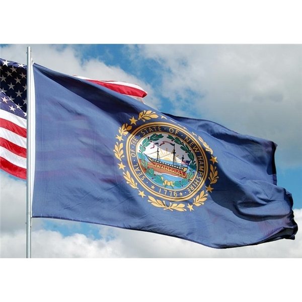 New Hampshire State Flag - 4 x 6 - Polyester