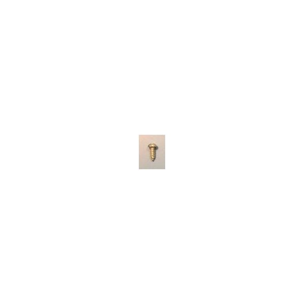 Slotted Screw