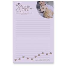 Souvenir(R) Sticky Note(TM) 4 x 6 Pad, 25 sheet