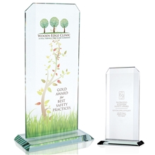 JAFFA(R) Starfire Echo Award - Large