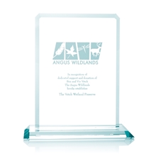 Clipped Jade Crystal Award