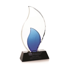 Trailblazer Award