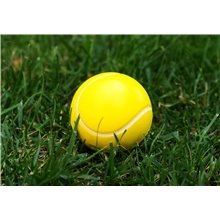 Tennis Ball Stress Reliever