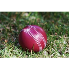Cricket Stress Ball