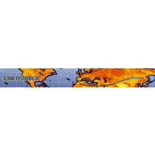 Globe - Ruler Magnets