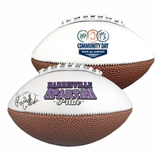 14 Full - Size Synthetic Leather Signature Football