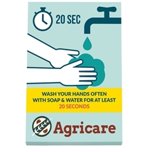 Souvenir(R) 5 X 7 Scratch Pad, 25 Sheet