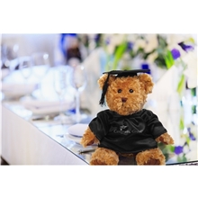 Traditional Teddy Bear