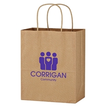 Kraft Paper Brown Shopping Bag - 13 x 17