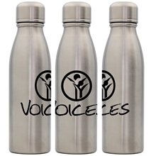 Stainless Silhouette Bottle