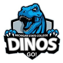 CUSTOMCUT(TM) 9.1 sq inch to 16 sq. inch Full Color Custom Shape Removable Vinyl Stickers in Singles