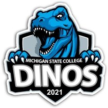 CUSTOMCUT(TM) 25.1 sq inch to 36 sq inch Full Color Custom Shape Removable Vinyl Stickers in Singles