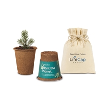Modern Sprout(R) One For One Tree Kits
