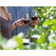 govino(R) 16 oz Wine Glass Handwash