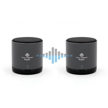 Soundstream TWS