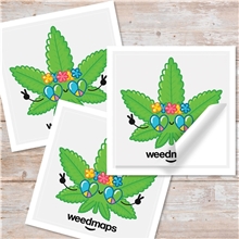 4 x 4 Square Sticker