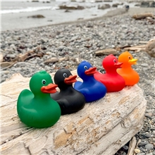 Rubber Duck