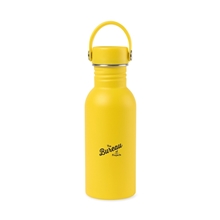 Arlo Classics Stainless Steel Hydration Bottle - 17 oz