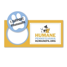 2- in -1 Pop Mag (Circle / Rectangle)