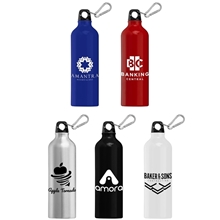 Portland Plus - 25 oz Aluminum Water Bottle