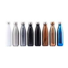 17 oz Serendipity Bottle with Speaker Lid