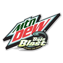 Small Car Magnets - Custom Shape - up to 20 sq. inches