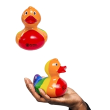 Rainbow Duck