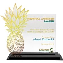 Acrylic 24 Award