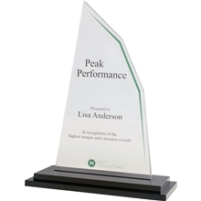 Acrylic 8 Award