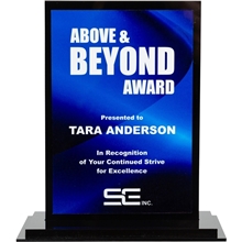 Acrylic / Metal Desk Award 4