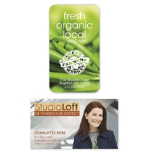 30 Mil 4- Color Process Business Card Magnet