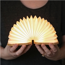 Accordio Light