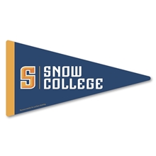 Pennant Car Sign Magnet 7.125 x 3.75