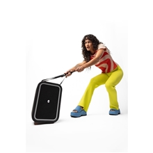 Skullcandy Stomp(TM) Party Speaker
