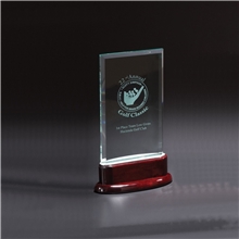 Statute Large Award
