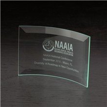 Chronicle X - Small Jade Glass Award
