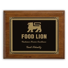 Ashford Medium Plaque Award
