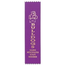 Custom Ribbon - 2 x 8