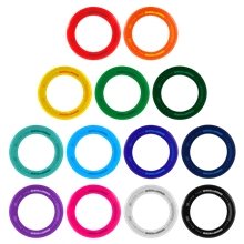 Disc - Y Business Ring Flyer