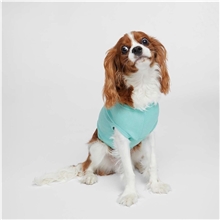 Doggie Skins Doggie Tank