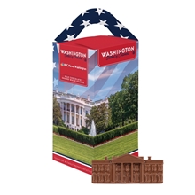 Washington D.C. Souvenir Tote Box