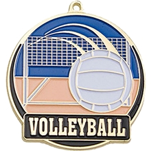 Stock Gold Enamel Sports Medals Volleyball