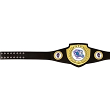 Shield Championship Belts Black - Gold